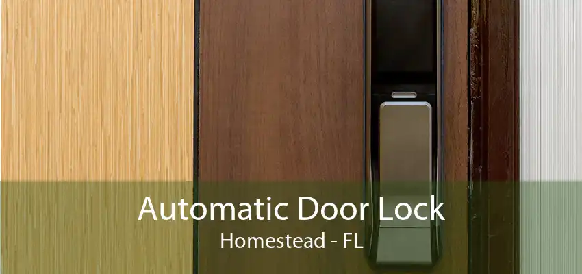 Automatic Door Lock Homestead - FL