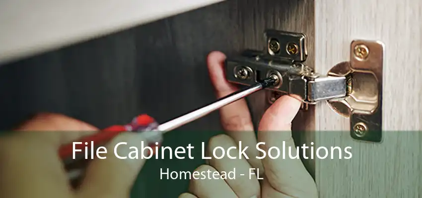 File Cabinet Lock Solutions Homestead - FL