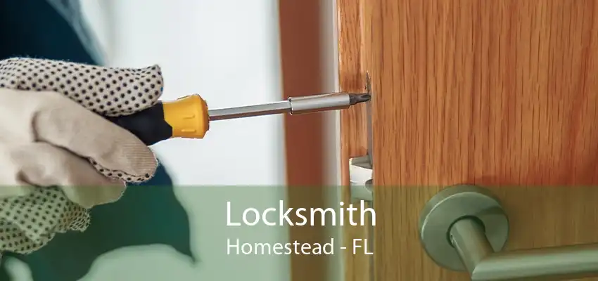 Locksmith Homestead - FL